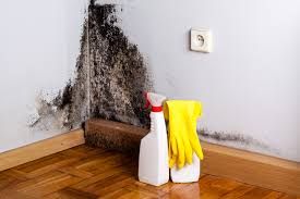 Professional Mold Remediation in Lake St Louis, MO